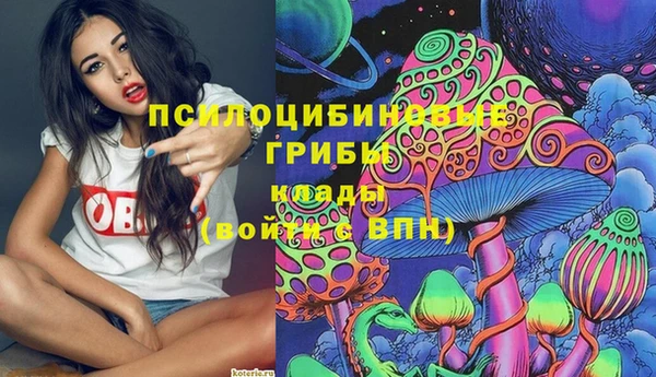 спайс Алзамай