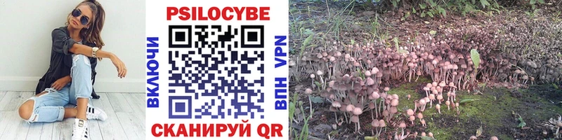 Галлюциногенные грибы GOLDEN TEACHER  Жуковка 